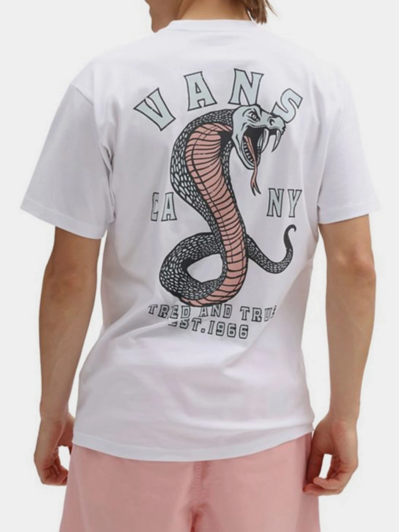 Футболки и поло Vans модель VN0A7PLSWHT1 Фото