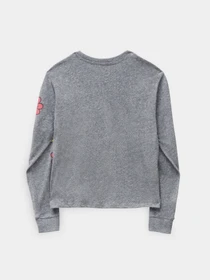 Худи и свитшоты Vans модель VN0A7RUYGRH1 Фото