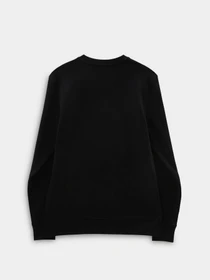 Худи и свитшоты Vans модель VN0A7Y3VBLK1 Фото