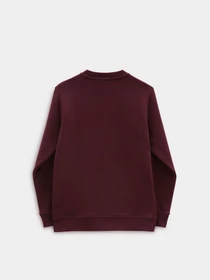 Худи и свитшоты Vans модель VN0A7Y4P4QU1 Фото