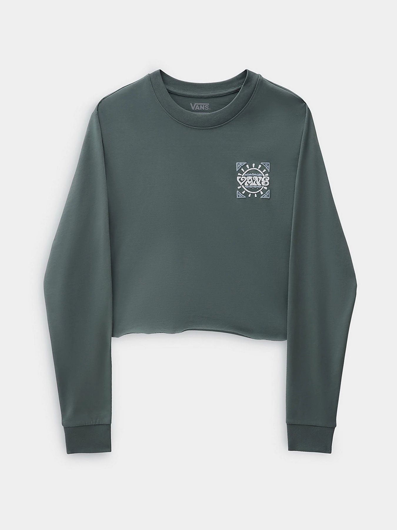 Худи и свитшоты Vans модель VN0A7YUWYQW1 Фото