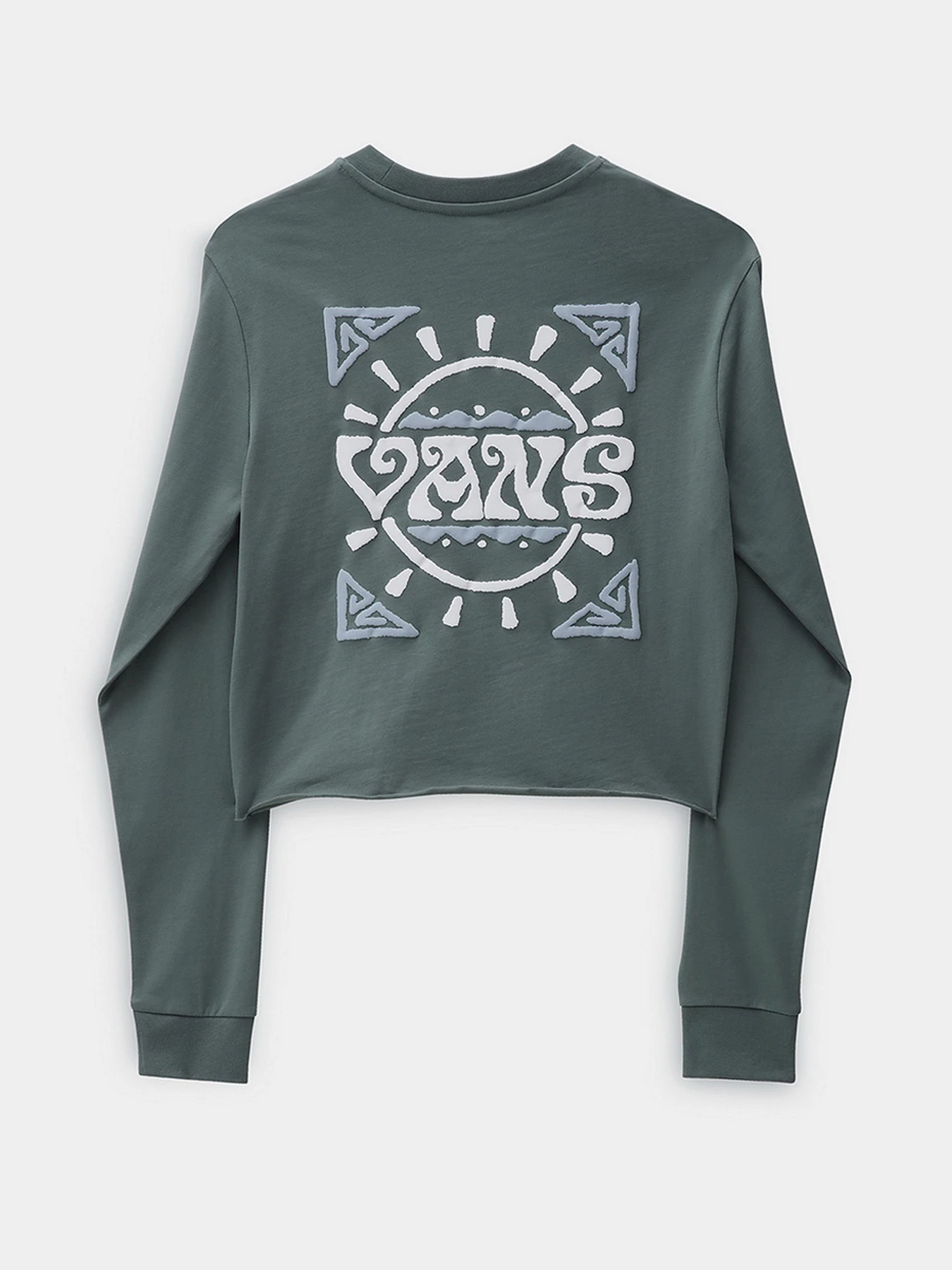 Худи и свитшоты Vans модель VN0A7YUWYQW1 Фото