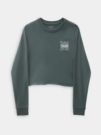 Худи и свитшоты Vans модель VN0A7YUWYQW1 Фото