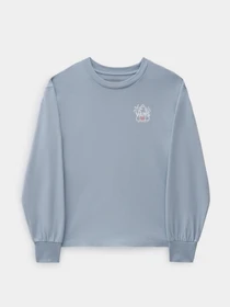 Худи и свитшоты Vans модель VN0A7YV5BD21 Фото