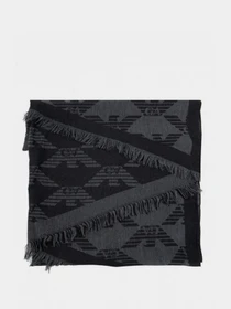 Шарфы и платки Emporio Armani модель 625292-2R357-00020 Фото