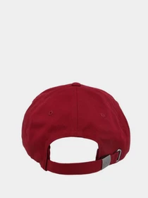 Шапки и кепки Tommy Hilfiger модель AM0AM08245-XKE Фото