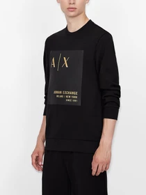 Худи и свитшоты Armani Exchange модель 6KZMDB-ZJ6PZ-1200 Фото