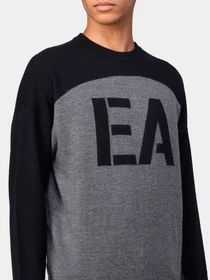 Худи и свитшоты Emporio Armani модель 6L1MXL-1MBRZ-F626 Фото