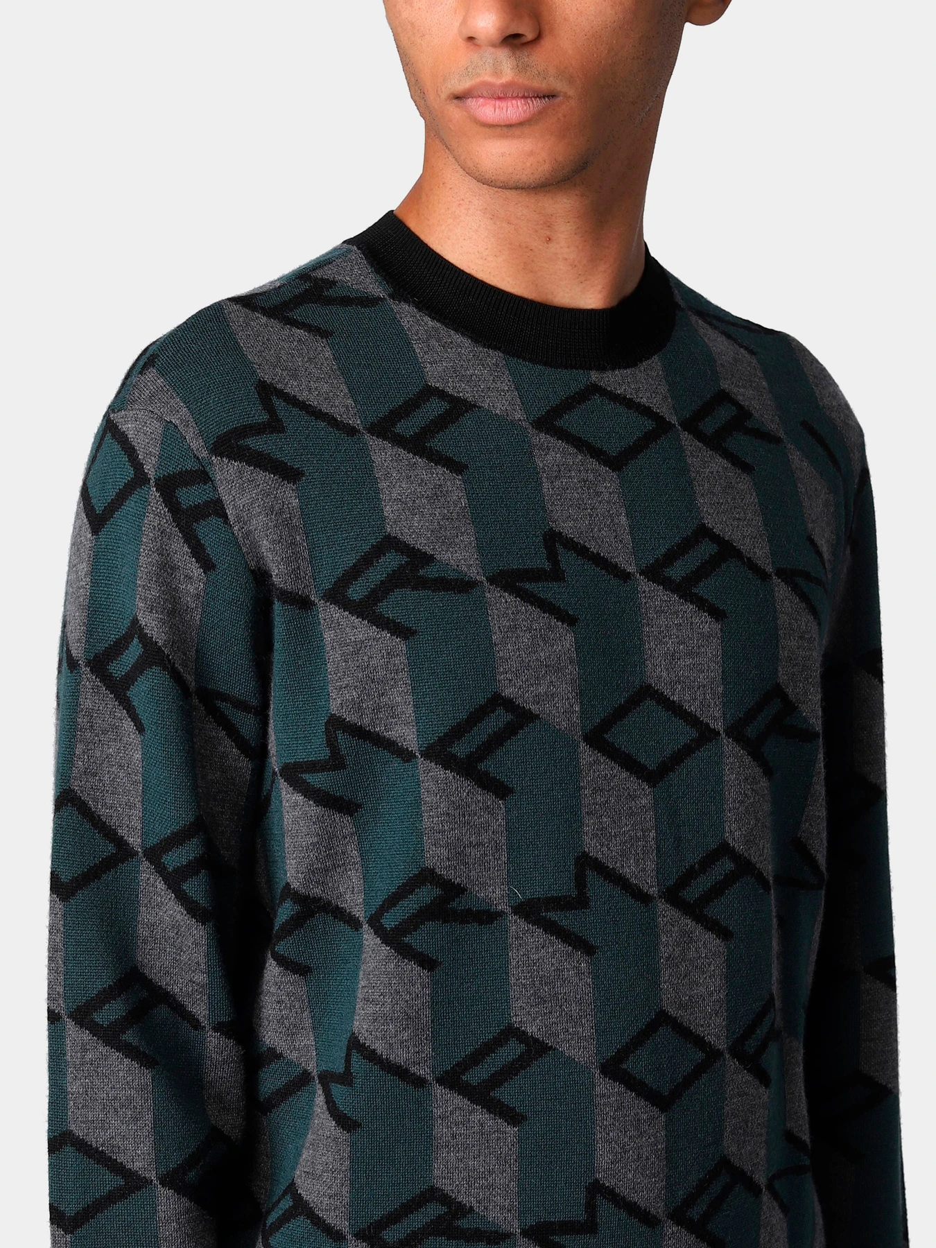 Худи и свитшоты Emporio Armani модель 6L1MXX-1MCQZ-F023 Фото