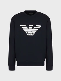 Худи и свитшоты Emporio Armani модель 8N1MR6-1JRIZ-F904 Фото