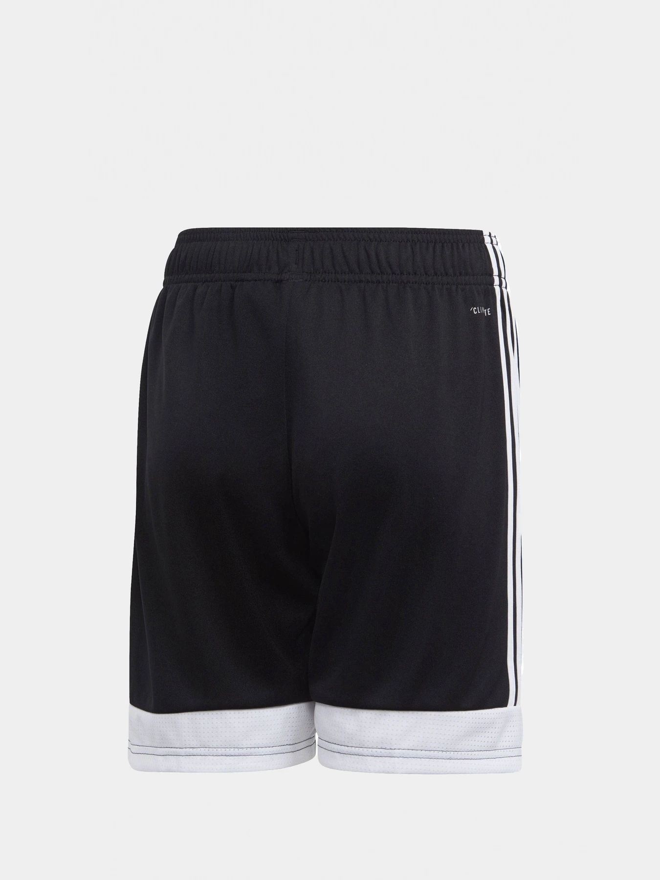 Шорты Adidas модель DP3173 Шорты Adidas модель DP3173 Фото
