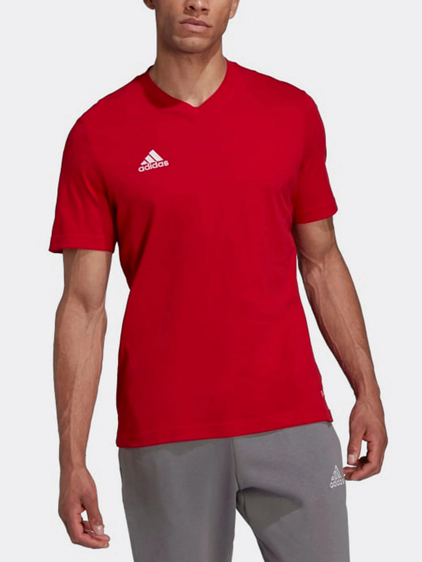 Футболки и поло Adidas модель HC0451 Футболки и поло Adidas модель HC0451 Фото