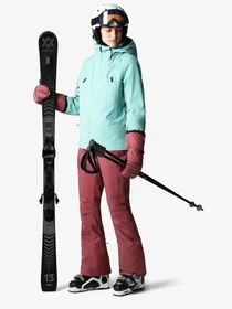 Брюки The North Face модель NF0A4R1I6R41 Фото