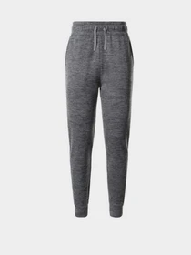Брюки The North Face модель NF0A5GCBDYY1 Фото