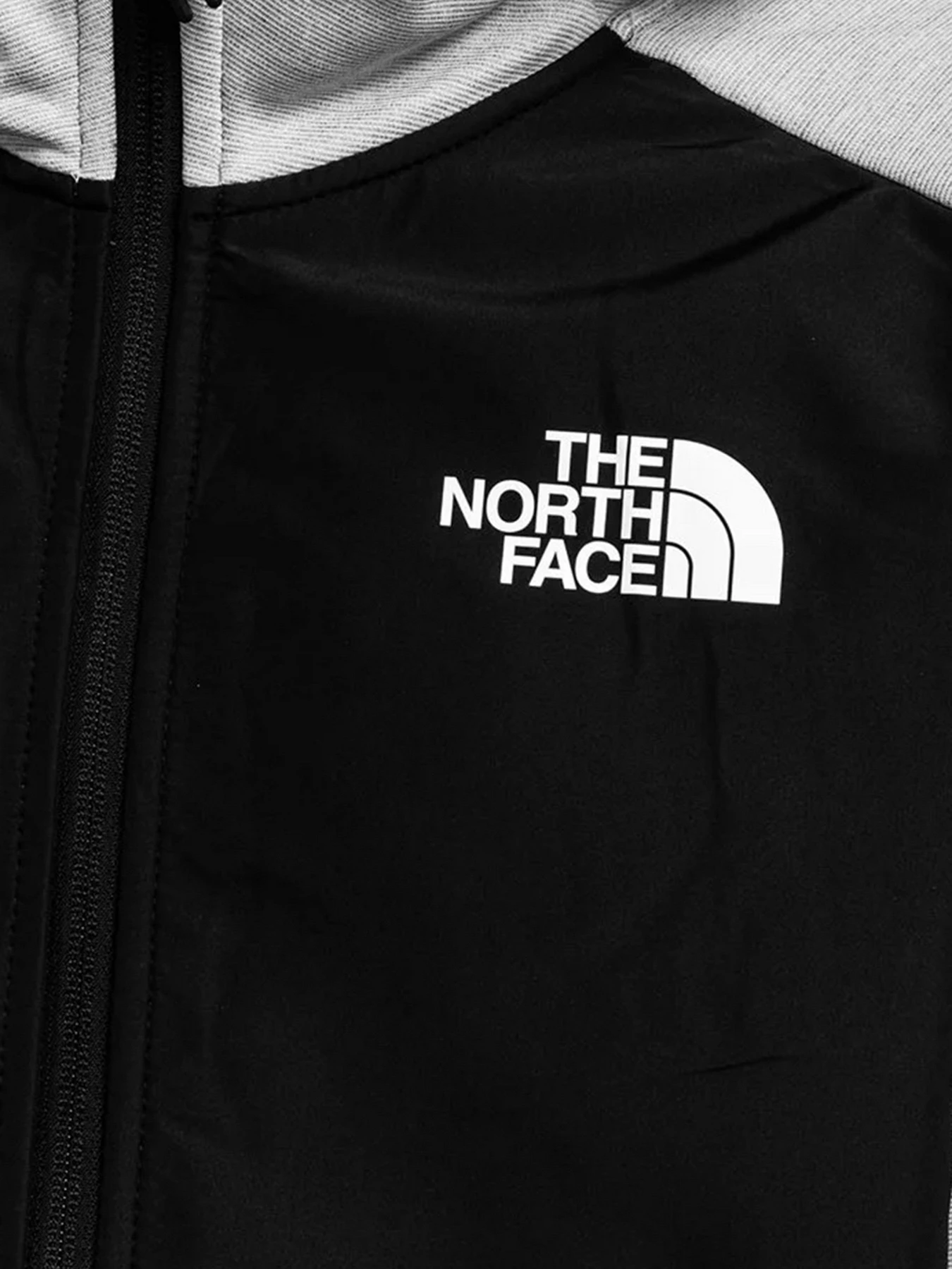 Худи и свитшоты The North Face модель NF0A5IEQGAU1 Худи и свитшоты The North Face модель NF0A5IEQGAU1 Фото
