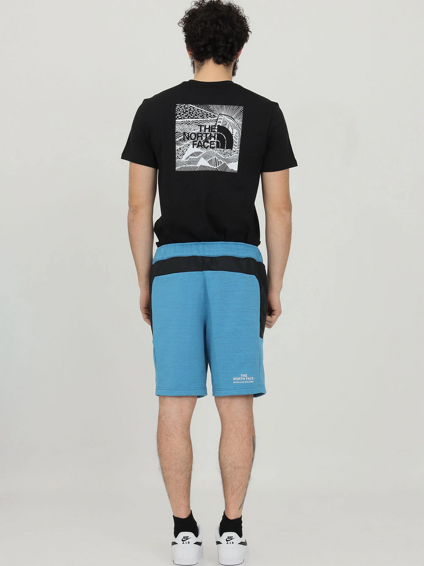 Шорты The North Face модель NF0A5IEX5V91 Фото