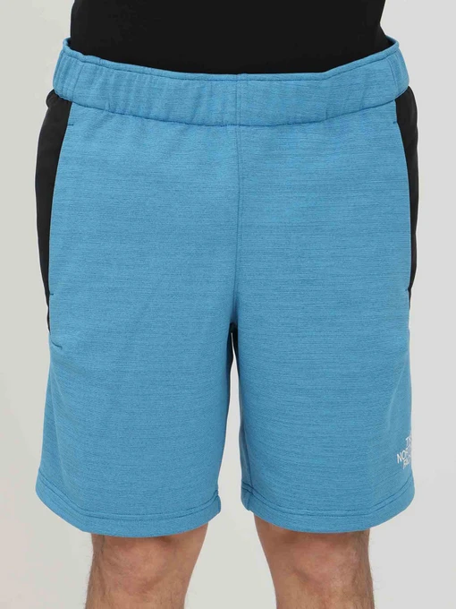 Шорты The North Face модель NF0A5IEX5V91 Фото