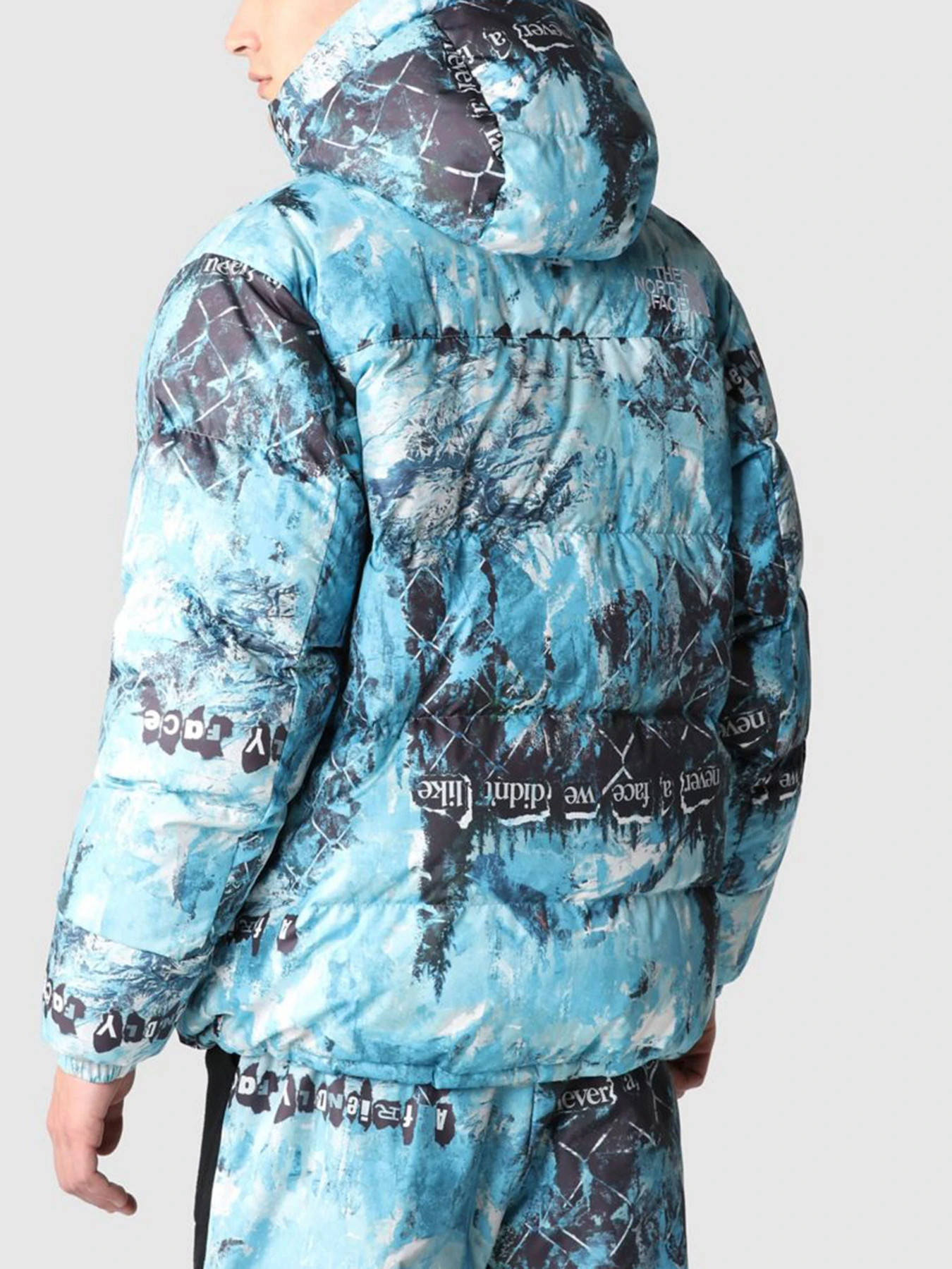 Куртки и дубленки The North Face модель NF0A5J1J9C11 Фото