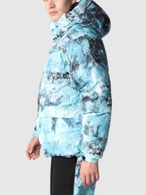 Куртки и дубленки The North Face модель NF0A5J1J9C11 Фото