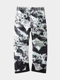 Брюки The North Face модель NF0A7WPH99D1 Фото