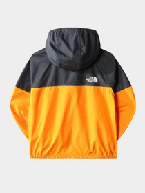 Куртки и дубленки The North Face модель NF0A7WPX78M1 Фото