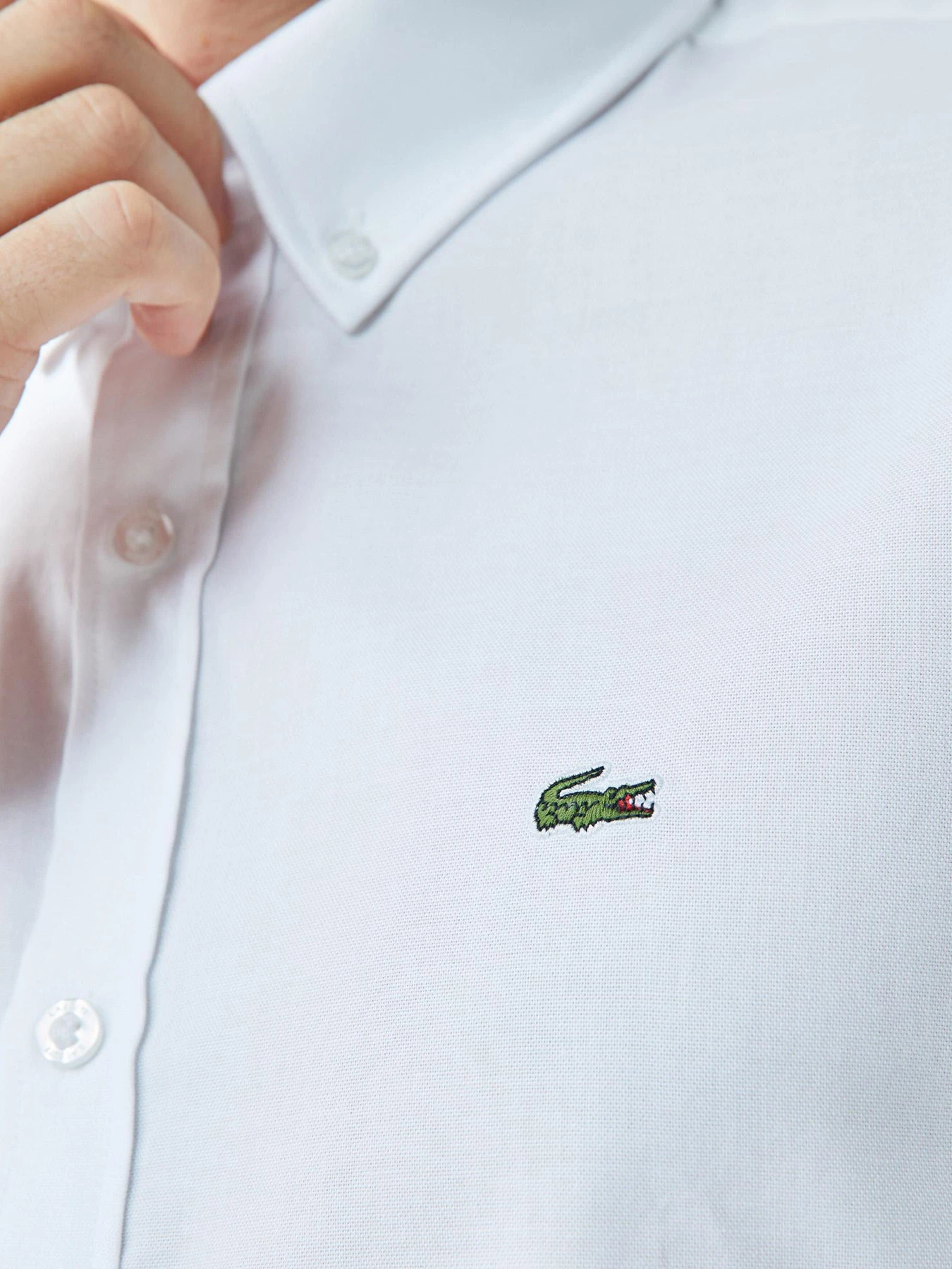 Рубашки Lacoste модель CH4976.001 Рубашки Lacoste модель CH4976.001 Фото
