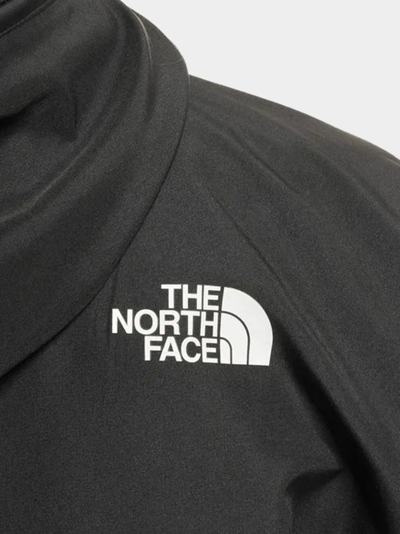 Куртки и дубленки The North Face модель NF0A5IEYKX71 Фото