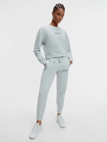 Худи и свитшоты Calvin Klein модель 00GWS1W302-004 Фото