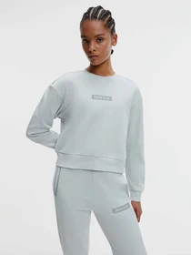 Худи и свитшоты Calvin Klein модель 00GWS1W302-004 Фото