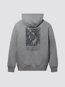 Худи и свитшоты Alpha Industries модель USN52001C1_063 Фото