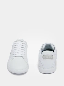 Кеды Lacoste модель 741SFA0042-21G Фото