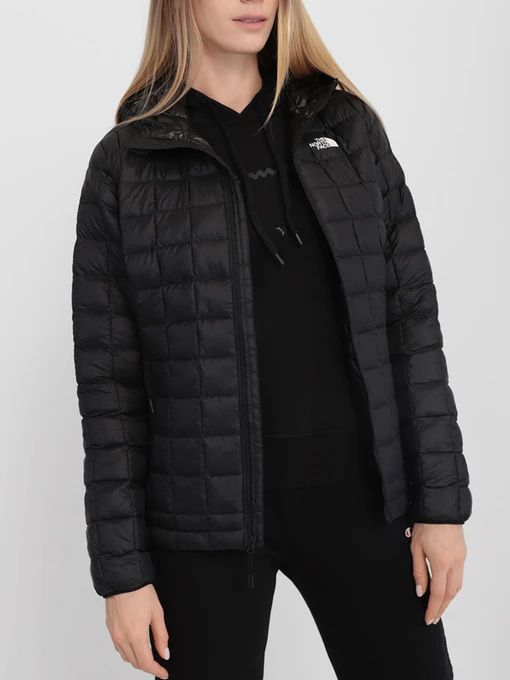 Куртки и дубленки The North Face модель NF0A5GLCJK31 Фото