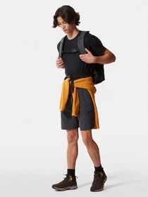 Шорты The North Face модель NF00CF720C51 Фото