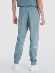 Брюки The North Face модель NF0A4T1FA9L1 Фото