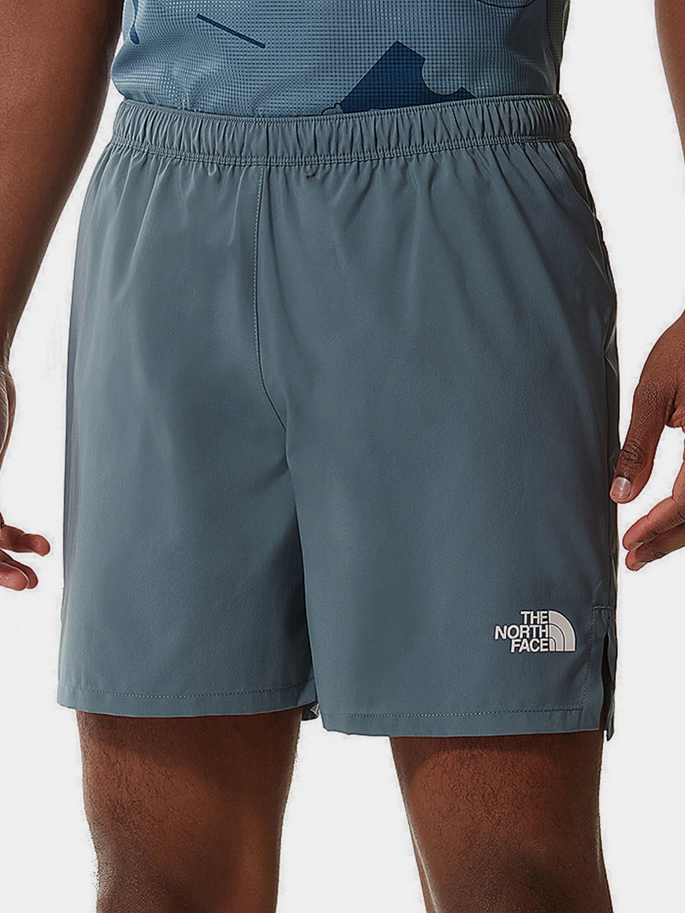 Шорты The North Face модель NF0A537LA9L1 Шорты The North Face модель NF0A537LA9L1 Фото