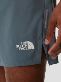 Шорты The North Face модель NF0A537LA9L1 Фото