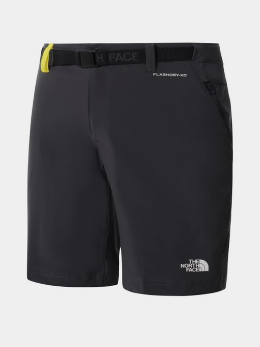 Шорты The North Face модель NF0A558FY0K1 Фото