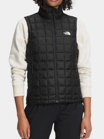 Худи и свитшоты The North Face модель NF0A5GLFJK31 Фото
