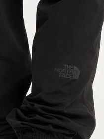 Брюки The North Face модель NF0A5IG4JK31 Фото