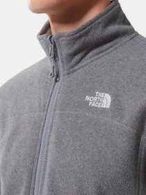 Худи и свитшоты The North Face модель NF0A5IHQDYY1 Фото