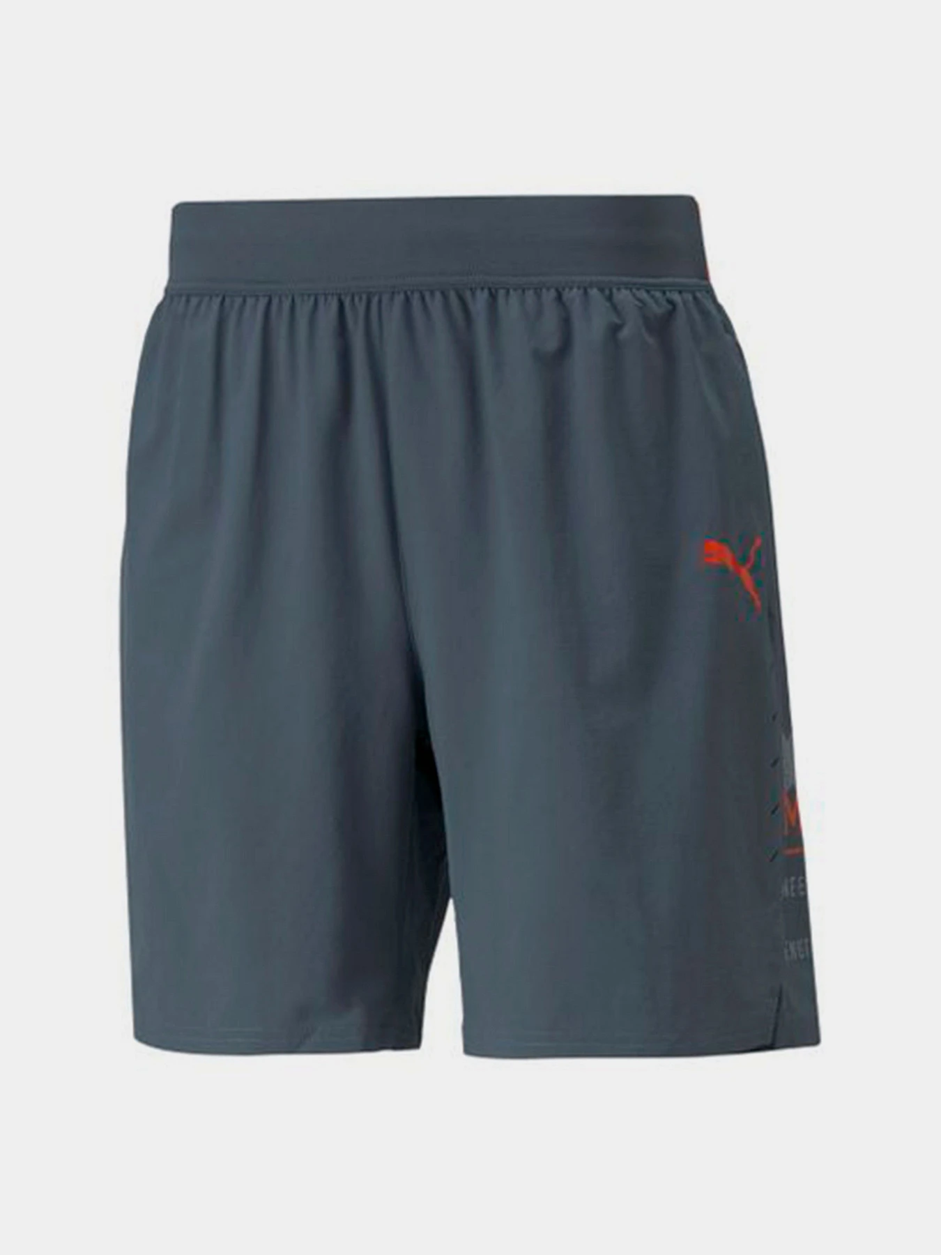 Шорты PUMA модель 52152442 Шорты PUMA модель 52152442 Фото