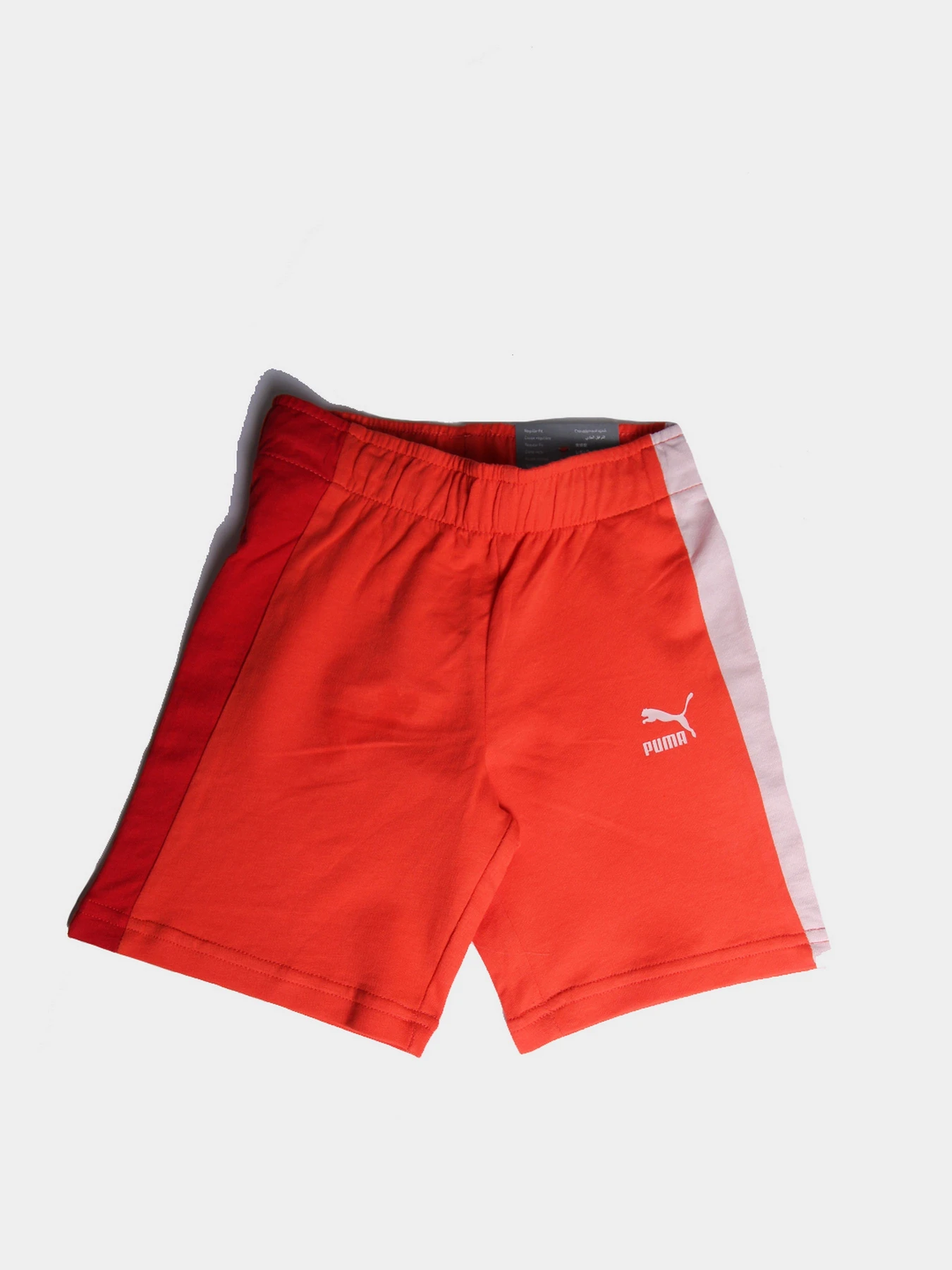Шорты PUMA модель 53390626 Шорты PUMA модель 53390626 Фото