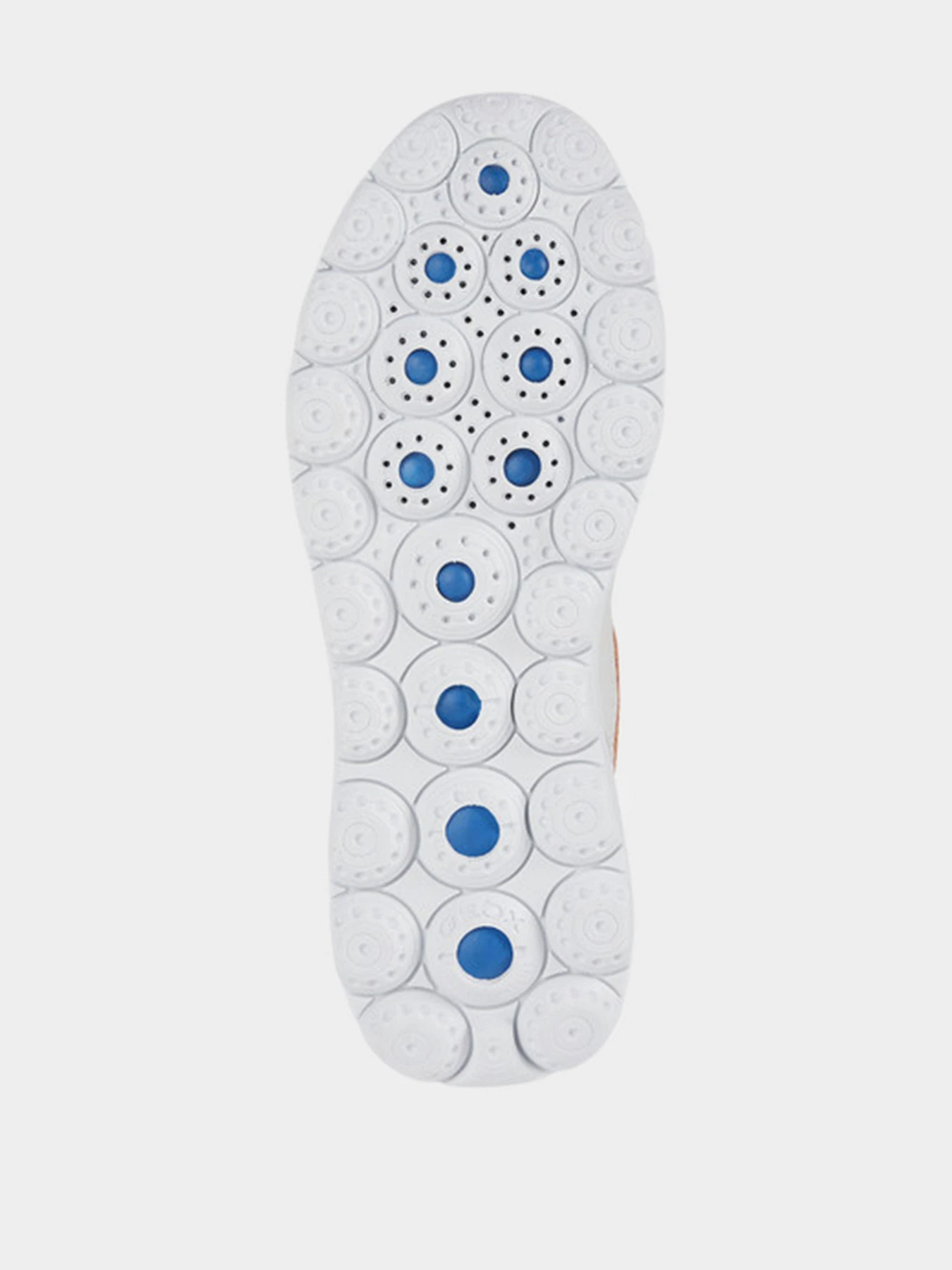 Кроссовки Geox модель D25NUD-07T85-C2237 Кроссовки Geox модель D25NUD-07T85-C2237 Фото