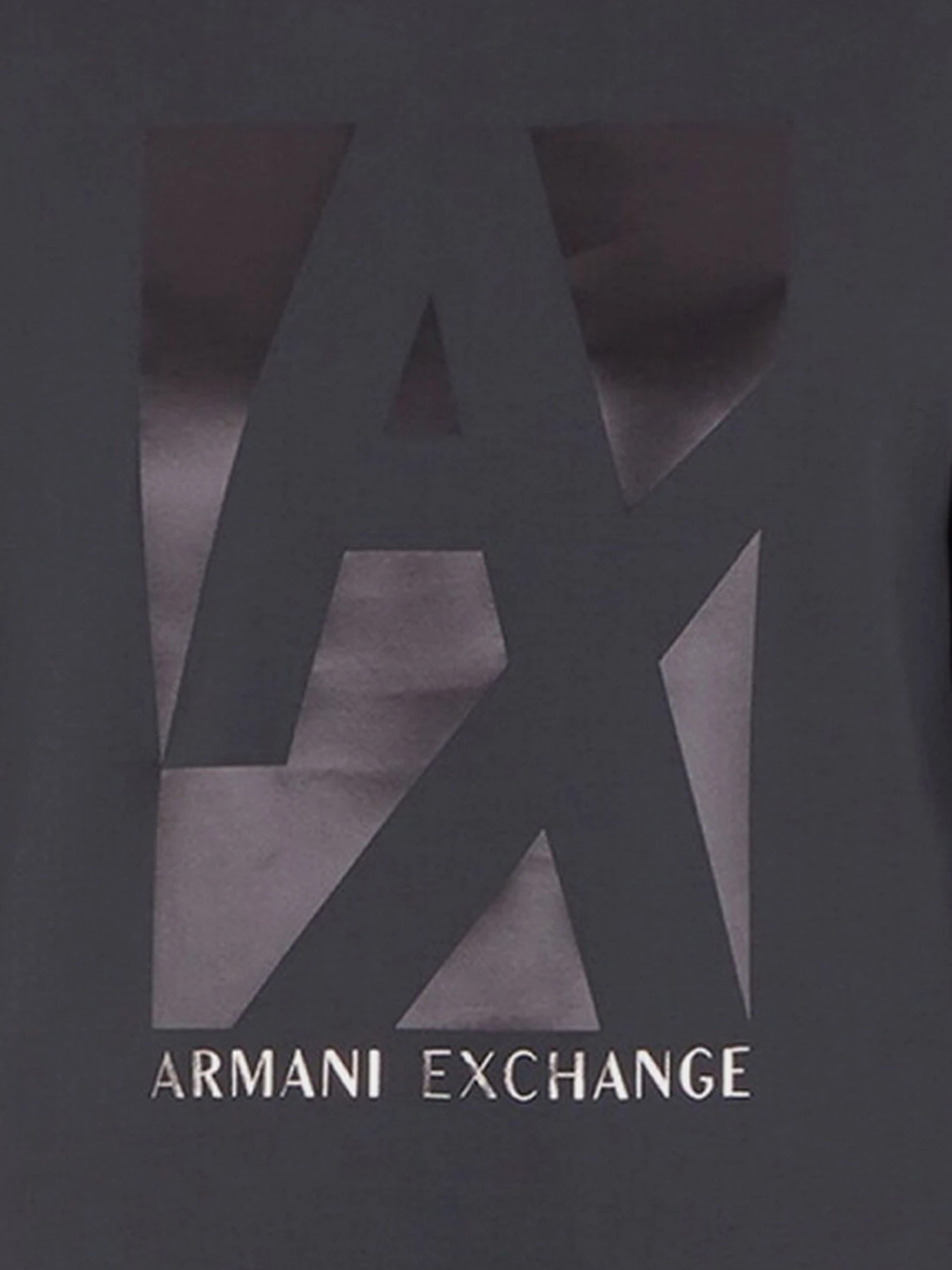 Худи и свитшоты Armani Exchange модель 6LZMHB-ZJXBZ-1978 Фото