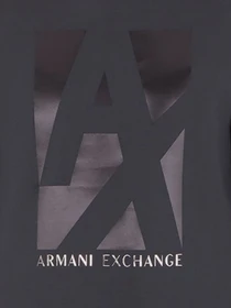 Худи и свитшоты Armani Exchange модель 6LZMHB-ZJXBZ-1978 Фото