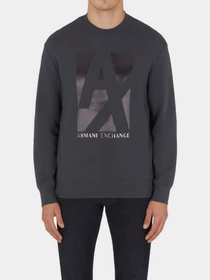 Худи и свитшоты Armani Exchange модель 6LZMHB-ZJXBZ-1978 Фото