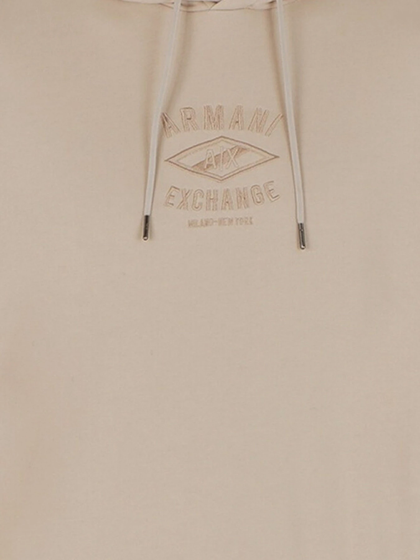 Худи и свитшоты Armani Exchange модель 6LZMLD-ZJNBZ-1709 Фото
