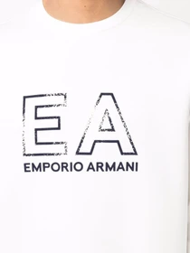Худи и свитшоты Emporio Armani модель 3L1MFG-1JHSZ-0117 Фото