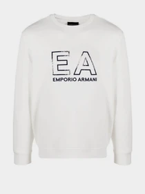 Худи и свитшоты Emporio Armani модель 3L1MFG-1JHSZ-0117 Фото
