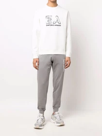 Худи и свитшоты Emporio Armani модель 3L1MFG-1JHSZ-0117 Фото